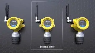 Wireless gas detector DGS ERIS-210 RF