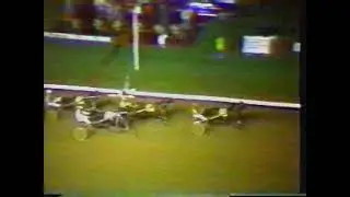 Gold Cup & Saucer 1986