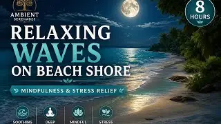 Relaxing Waves on Beach Shore | Mindfulness & Stress Relief
