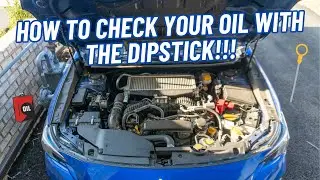How To Properly Check Your Oil Using The Dipstick!!! - Two Minute Tuesday