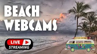 🌴🌊 LIVE Beach Webcams 01.14.2026 | 24/7 Beaches From Around the World 🌊🌴
