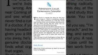 PALMERWORM, LOCUST , CANKERWORM , CATERPILLAR (WMB)