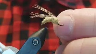 Green Caddis Larva