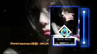 Shared expenses (纯音) - KM LYK (Remix 2026)