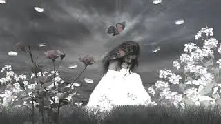 Alessandro Gilardi-Butterflies And Daisies (Nocturne no. 2 )
