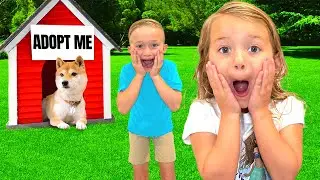 We Built a Home for our NEW PUPPY ❤️