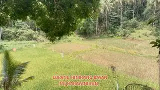 Likas ay Kayamanan sa Silanganan | Tagalog Spoken Word Poetry | PMM Writing Film Pictures
