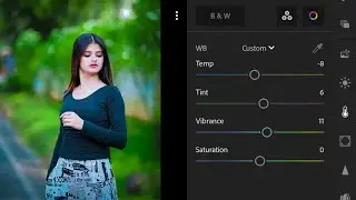 Lightroom green and blue effect photo editing | preset download free