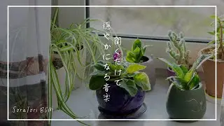 【BGM】癒しのピアノBGM｜聞くだけで優しい気持ちになれる朝の音楽【途中広告なし】