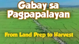 2022 Guide for Rice Production/ From Land Prep to Harvest