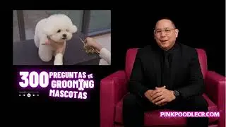 Crianza & Reproducci&oacute;n &ldquo;Crianza responsable  &eacute;tica, salud y conocimiento b&aacute;sico&rdquo;