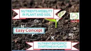 Nutrient Mobility in plant and Soil II Nutrient Deficiency symptoms in Plants II Part- 1st