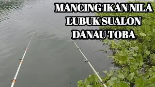 #danautoba #tilapia Mancing Ikan Nila di Danau Toba Parapat