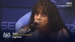 dani - Lágrimas