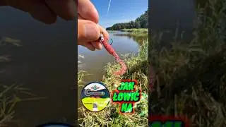 How to fish with GF1 Twister? @Fifen will answer these questions today #fishing #greatfish #fishi...