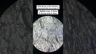 What is your guess? #quiz #science #microscope #fyp #microscopy #fun