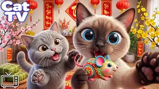 CARTOON FOR CATS: 3D TV FOR CATS TO WATCH - ULTIMATE ENTERTAINMENT VIDEOS FOR CATS | MUSIC FOR CATS