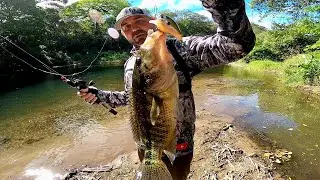 Pesca de GUAPOTE y MACHACA en el río Parismina Limón Costa Rica