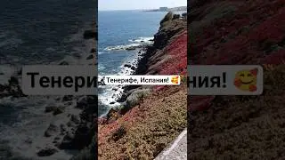 #tenerife #испания #spain #travel #путешествия #short #shorts #shortsvideo #shortvideo #море #океан