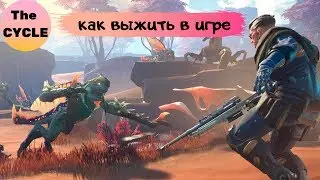 The CYCLE ►КАКОЕ ОРУЖИЕ ВЫБРАТЬ ►ОБЗОР The CYCLE ►КАК ВЫИГРАТЬ В ИГРЕ | by Boroda Game