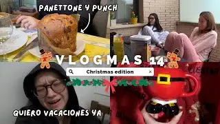 cuál es el mejor postre del mundo y porque el panettone | vlogmas 14