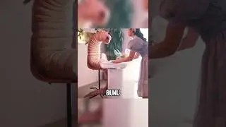 Kan Emici Bir B&ouml;cek B&uuml;y&uuml;tt&uuml;