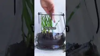 Cozy Garden DIY Terrarium Kits