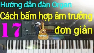 Cách bấm hợp âm trưởng trên đàn organ | Đơn giản | dễ nhớ | Điêu Chương