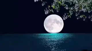 এসো ভাই দ্বীনি আলোচনা শুনি ⚖️🏖️# Islamic live video# love Islam# ❤️Mohammad (S.)❤️❤️❤️❤️❤️
