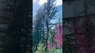 Botanical Garden in Kutaisi, Georgia | World Travel