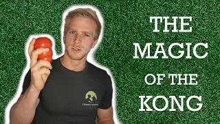 How to use a Kong - Puppy training and behaviour changes through the use of a Kong