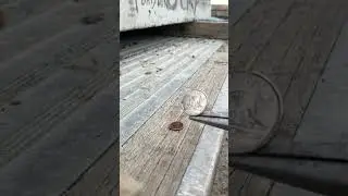 Snap on vs Kobalt