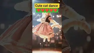 cat dance  #catvideos #funny #comedy #trending #shortvideo