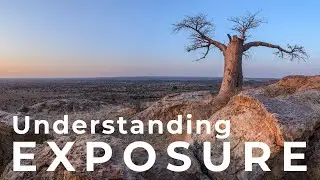 Understand These Exposure Settings So That You Can Create Better Photographs.