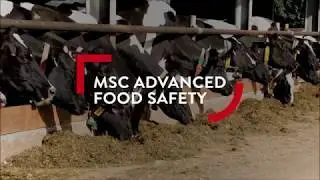 MSc Advanced Food Safety at Queen's University Belfast