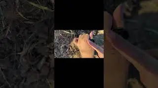 How to Replace a Sprinkler Head | Plano TX Lawn Repair