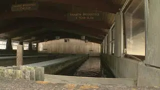 Minnesota&rsquo;s Main Trout Hatchery In Serious Disrepair