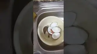 tiyula itum or tinolang itim tausug food pero luto ng saudi