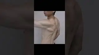 Проверка большой круглой мышцы