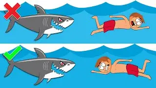 Shark Attack Survival Tips That Will Save Your Life