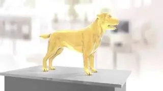 Hill's Pet Nutrition - Worlds first nutritional solution for dogs with Obesity + Arthritis