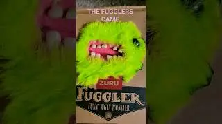 Yayayayay #Fugglers