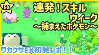 【ポケモンスリープ】連発！スキルウィーク！2025.8＆ワカクサEX初見レポ！！【#PokémonSleep】