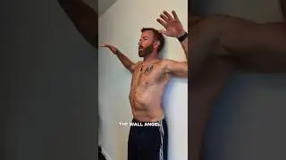 Wall Angel