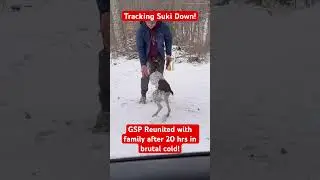Lost Dog Rescue in Brutal Cold! #dog #doglife #dogshorts #dogs #drone #wildlife #rescuedog #rescue