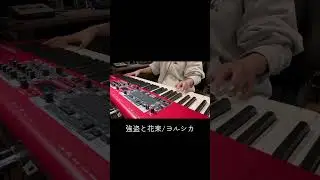 強盗と花束/ヨルシカ #ヨルシカ #yorushika #弾いてみた #cover #shortvideo #ピアノ #邦ロック #piano #keyboard #shorts #short