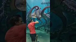 Fight with octopus 🐙 #viralvideo #viral #trending #shots #vlog