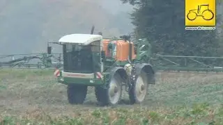 Opryskiwacz samojezdny AMAZONE BBG SF430 w akcji