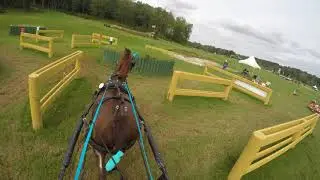 Huckleberry Express, Prelim Pony Marathon, Tryon CDE Sept 2020
