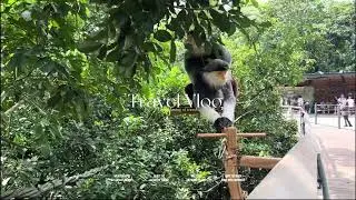 The world&rsquo;s most pretty monkeys - Two Male Redshanks Display Mating Behavior &ndash; Nature&rsquo;s Surprising